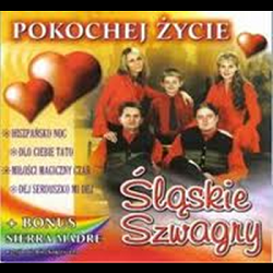 Logo Śląskie Szwagry